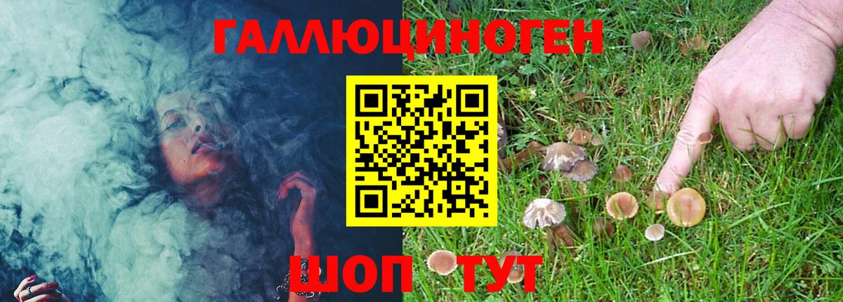 Галлюциногенные грибы Magic Shrooms Аргун